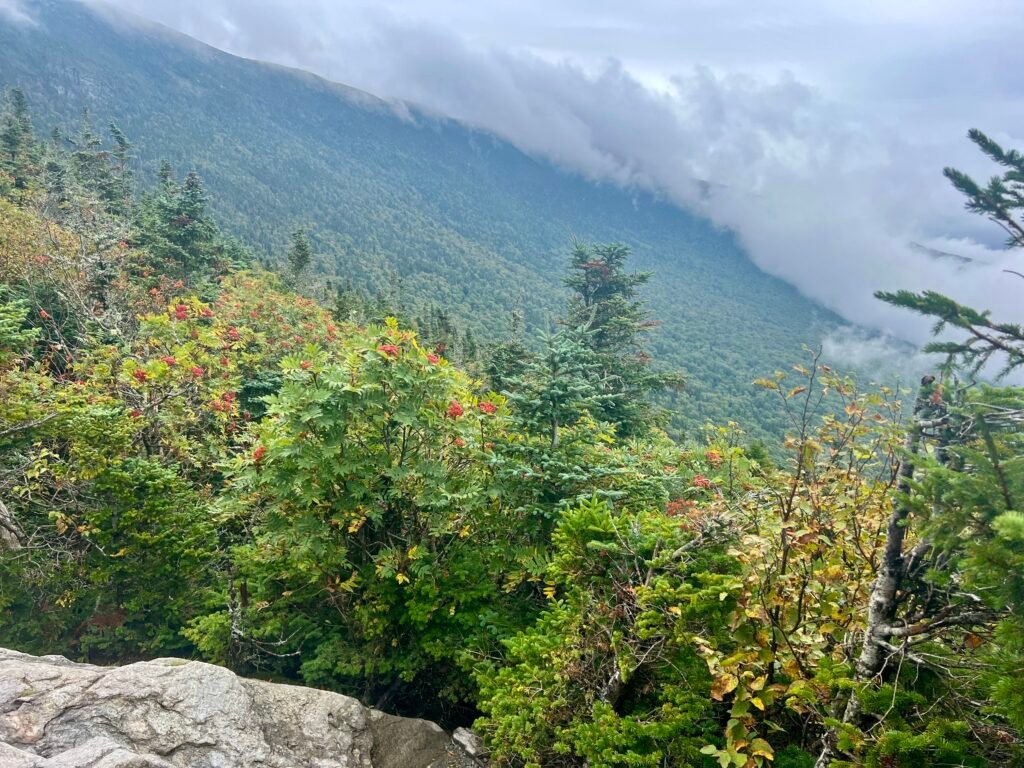 View from the Sunset Ridge Trail as it emerges above tree line with clouds rolling over the Green Mountains.