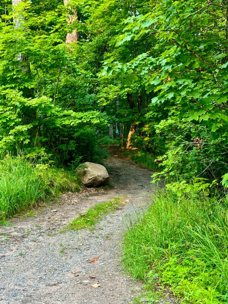Short wooded trail leading from the Mount Arvon parking lot toward Michigan’s highest point.