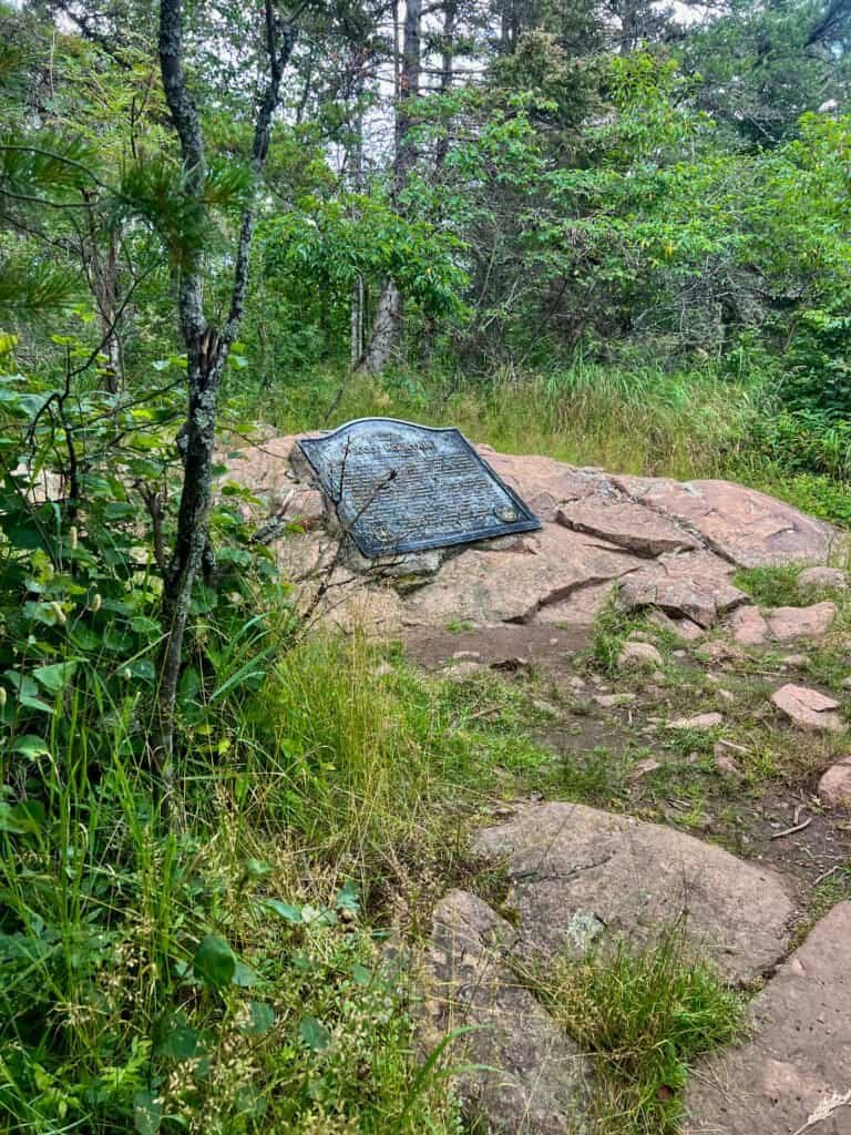 Faint trail visible through trees just before reaching the Eagle Mountain summit clearing.