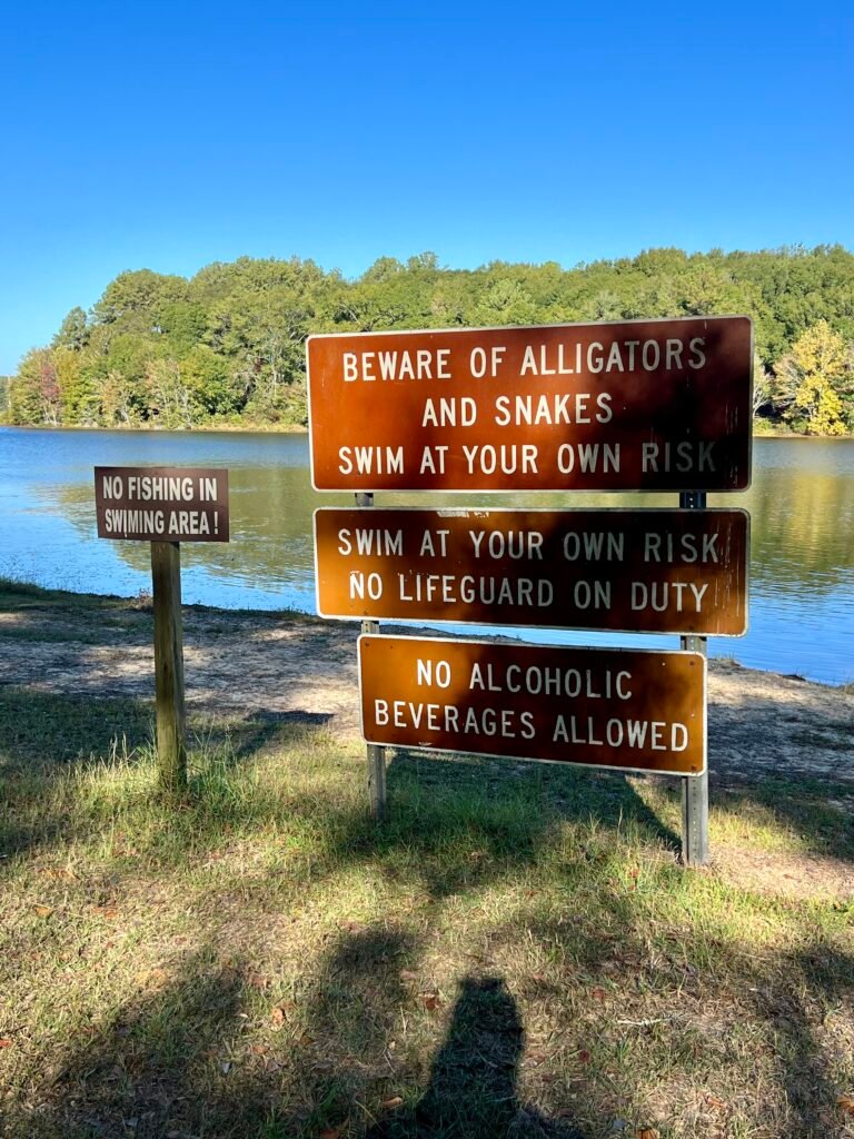 Warning signs at Frank Jackson State Park cautioning about alligators and snakes and swimming at your own risk.