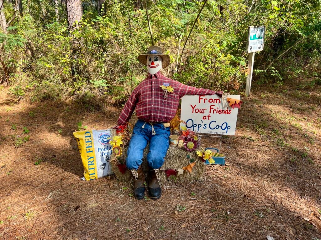 ecorated scarecrow display at Frank Jackson State Park in Opp, Alabama, featuring a seated scarecrow with a welcome sign from Opp’s Co-Op.