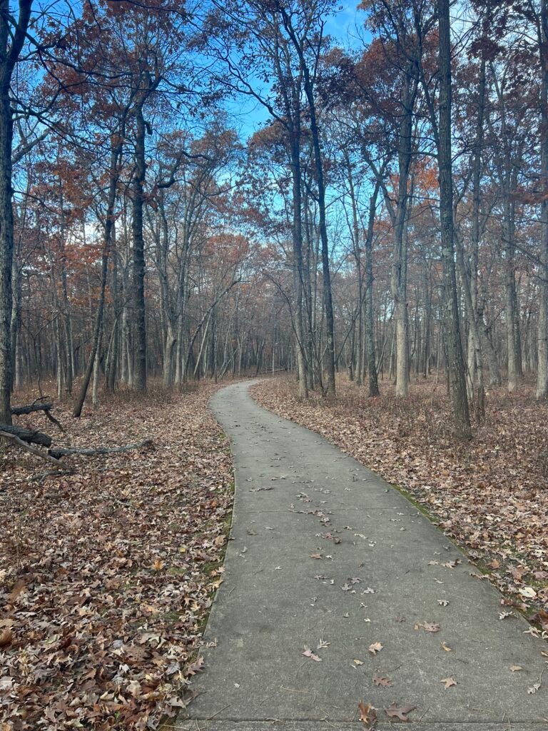 Paved walking path through fall forest leading to the high point of Taum Sauk Mountain in Missouri