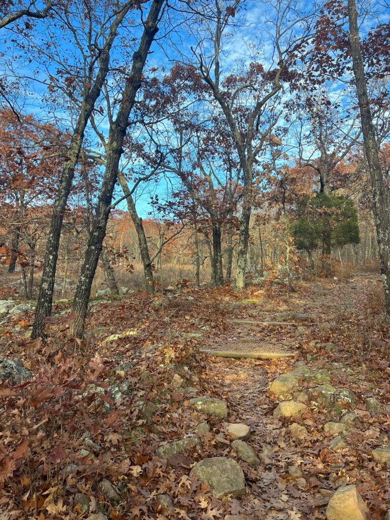 Rocky hiking trail covered in autumn leaves leading toward Mina Sauk Falls in Taum Sauk Mountain State Park, Missouri.