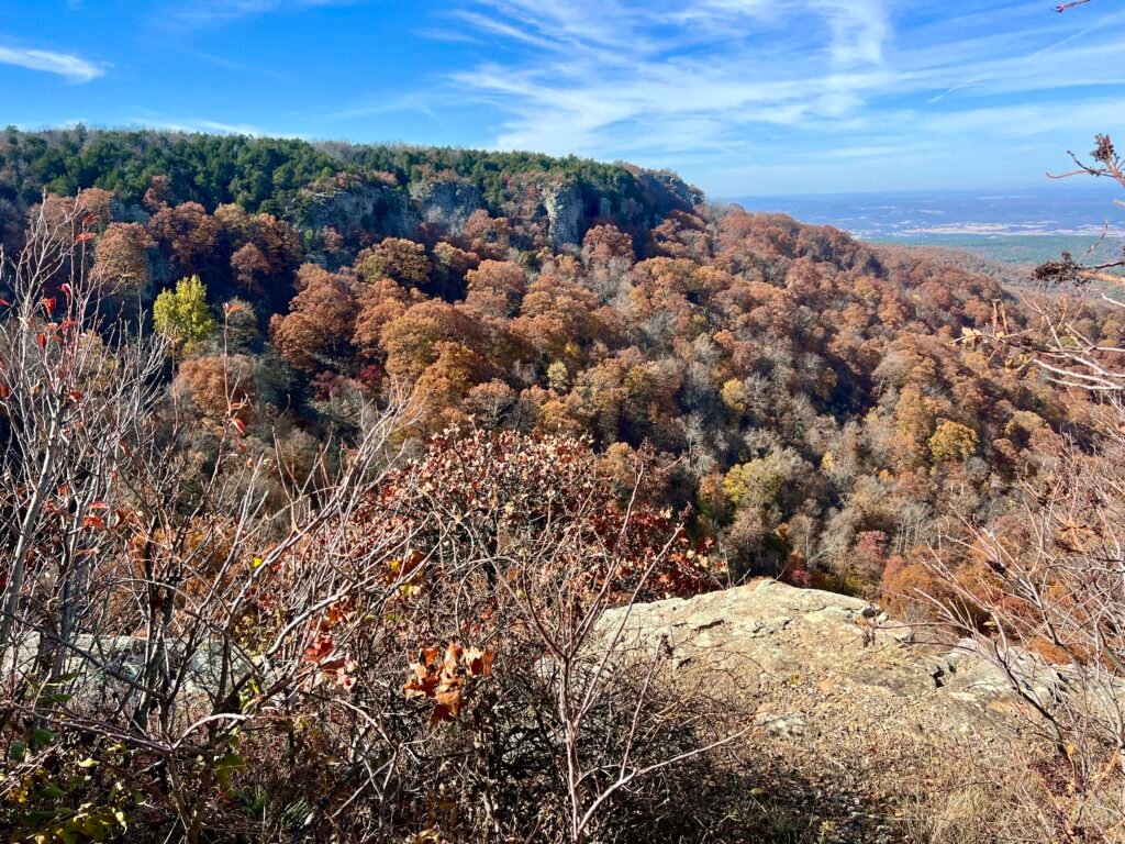 Cliffside view from the first Cameron Bluff parking area, showcasing autumn colors and rugged rock bluffs at Mount Magazine State Park.