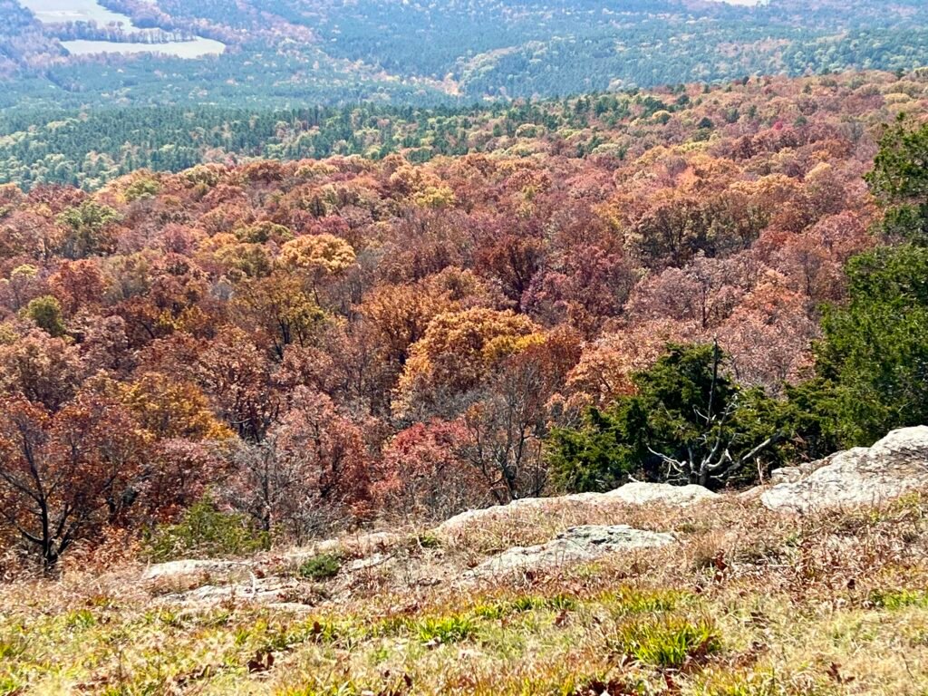 Sweeping fall view from the hang glider launch at Mount Magazine, overlooking colorful forest canopy in the Petit Jean River Valley.