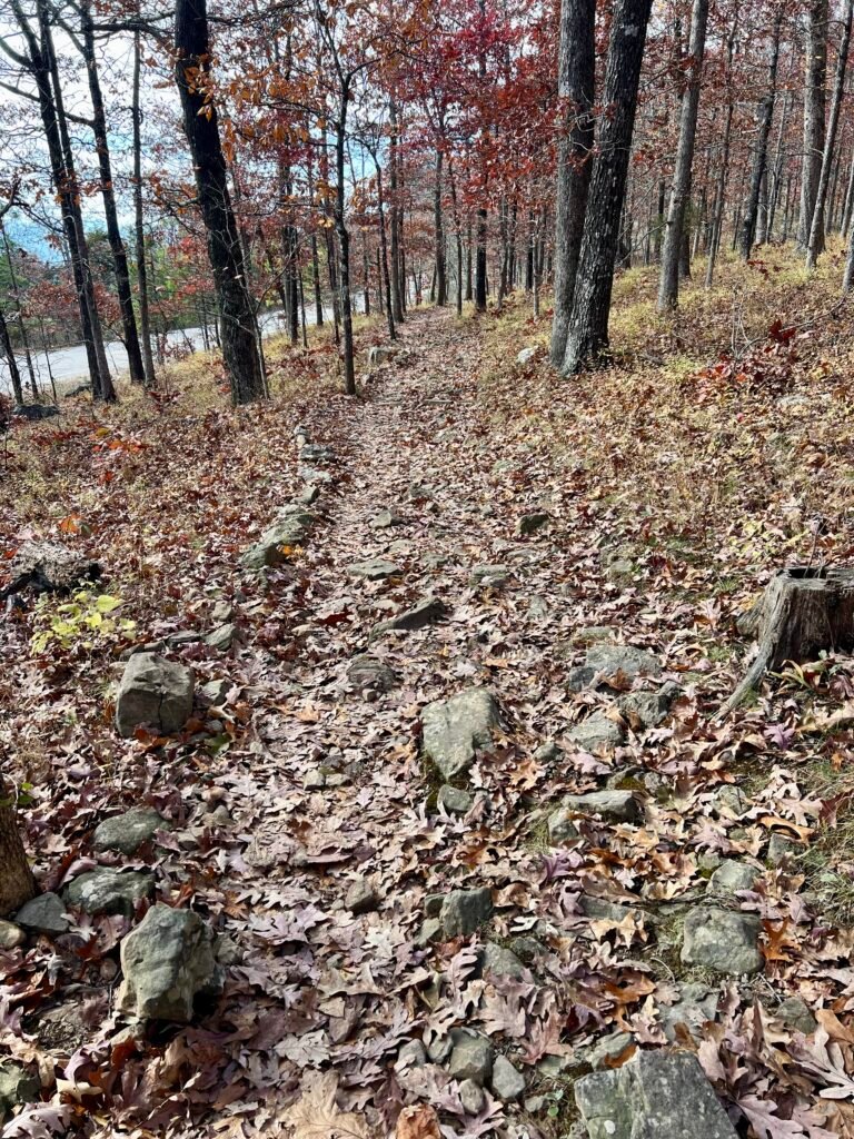 Rocky, leaf-covered section of Signal Hill Trail descending through fall forest.