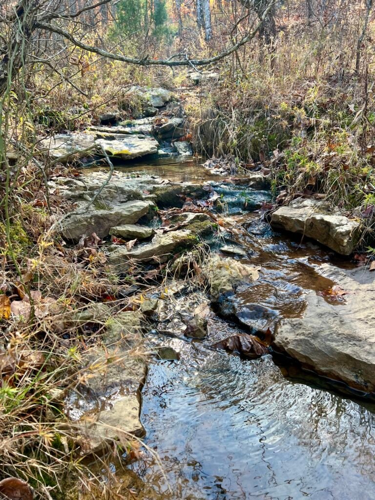 Shallow School Creek crossing with layered rocks and trickling water along the North Rim Trail in fall.