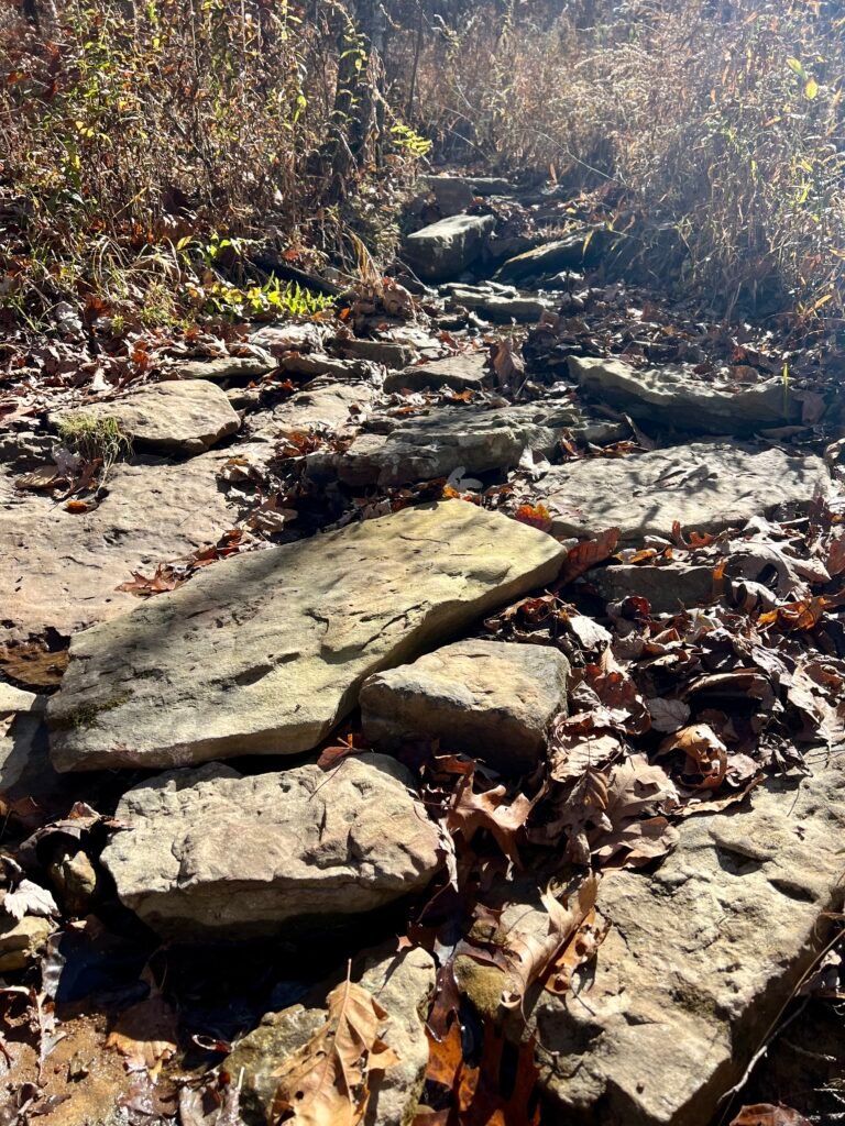 Dry, rocky bed of Dill Creek with flat stones and fallen leaves near Dill Point.