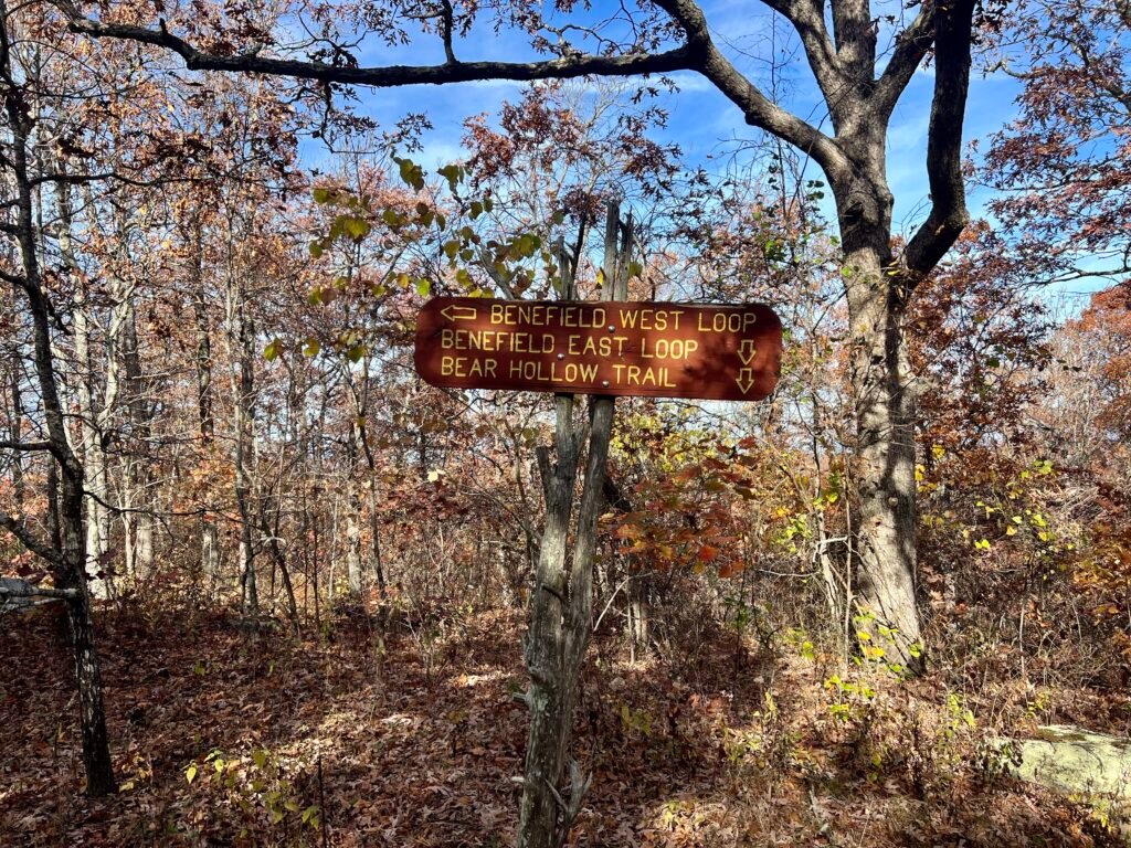 Wooden trail sign pointing to Benefield West Loop, Benefield East Loop, and Bear Hollow Trail in a wooded fall setting.