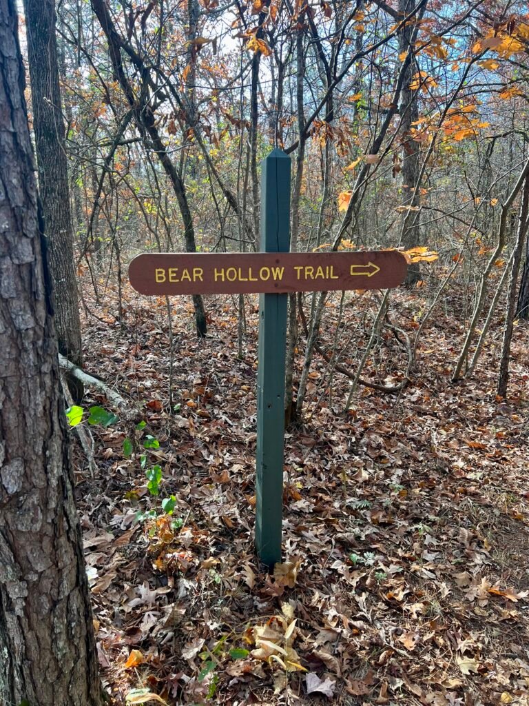 Wooden Bear Hollow Trail sign with arrow pointing right along a leaf-covered forest path at Mount Magazine.