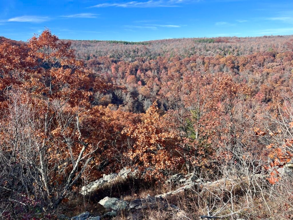 Wide autumn view from Inspiration Point with orange and red forest canopy stretching across the Arkansas River Valley.