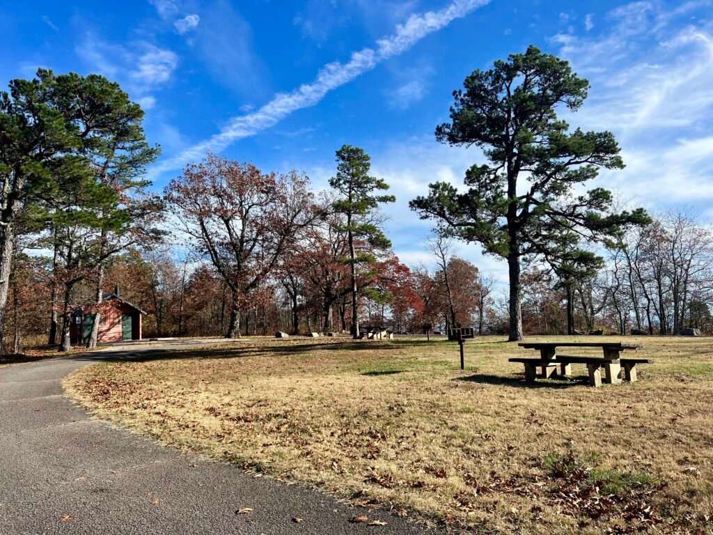 Picnic tables and small restroom building at Benefield Picnic Area on Mount Magazine under tall pines and blue sky
