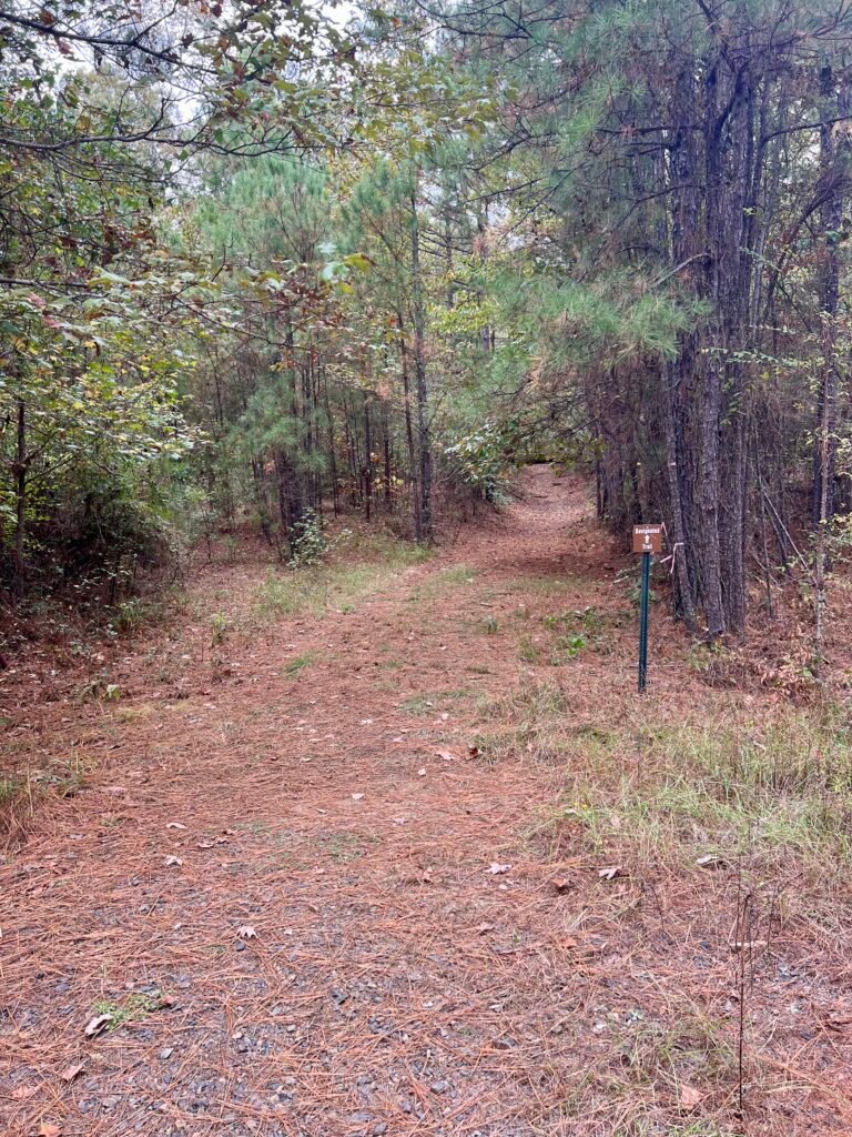 Designated Trail sign marking the start of Driskill Mountain Trail near Mt. Zion Presbyterian Church in Louisiana.