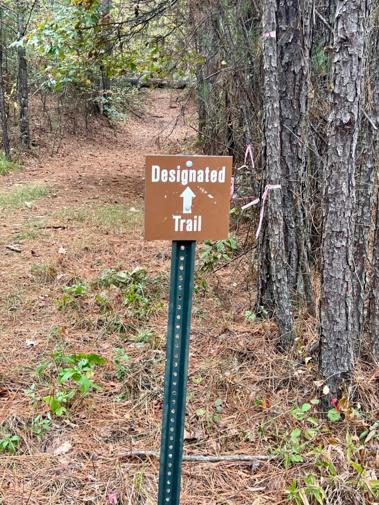 Brown “Designated Trail” sign with arrow along the wooded Driskill Mountain hiking path.