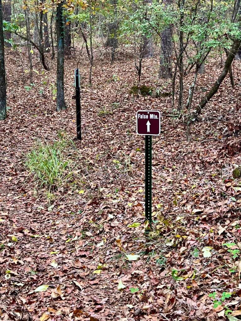 Small trail marker pointing toward False Mountain along a leaf-covered forest path near Driskill Mountain.