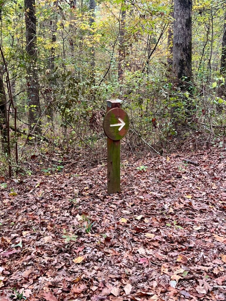 Wooden trail post with white directional arrow pointing right on the Driskill Mountain Trail.