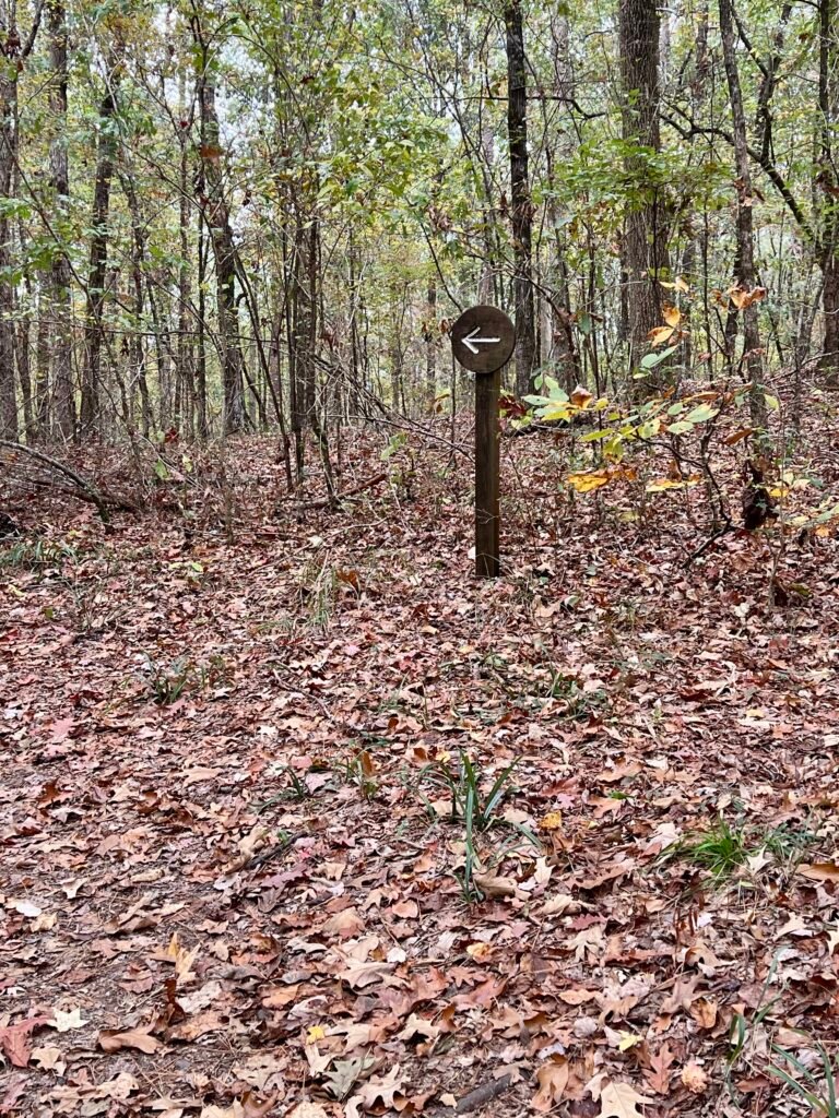 Wooden trail marker with a white arrow pointing left along the Driskill Mountain hiking trail in Louisiana.