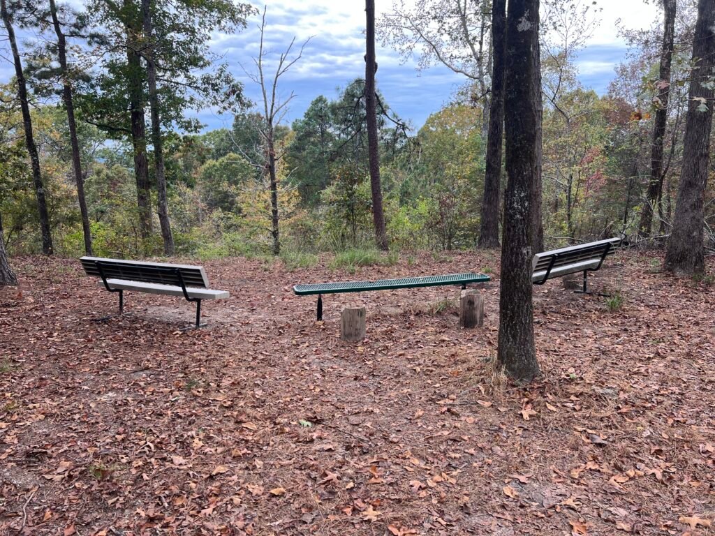 Jordan Mountain overlook area with forest views and benches at Driskill Mountain summit