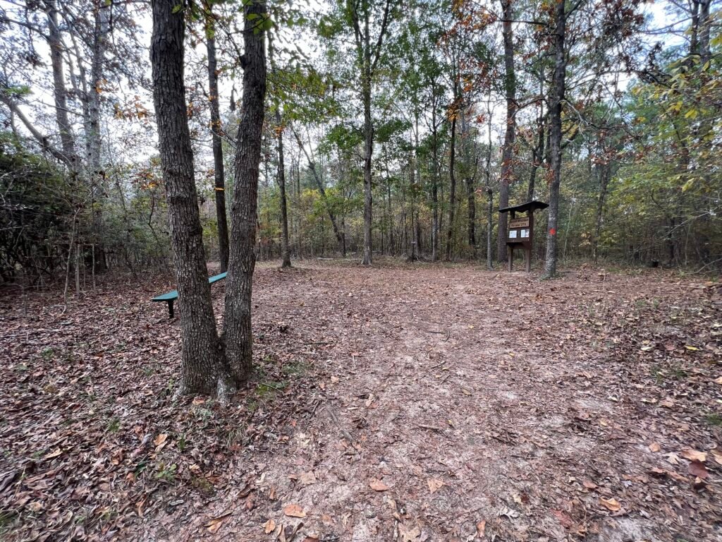 Cleared summit area at Driskill Mountain with bench and elevation sign surrounded by pine and hardwood forest.