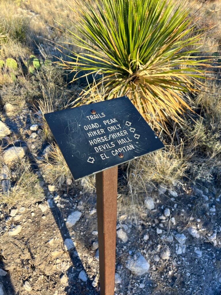 Trail junction sign pointing to Guadalupe Peak, Devil’s Hall, and El Capitan in Texas.