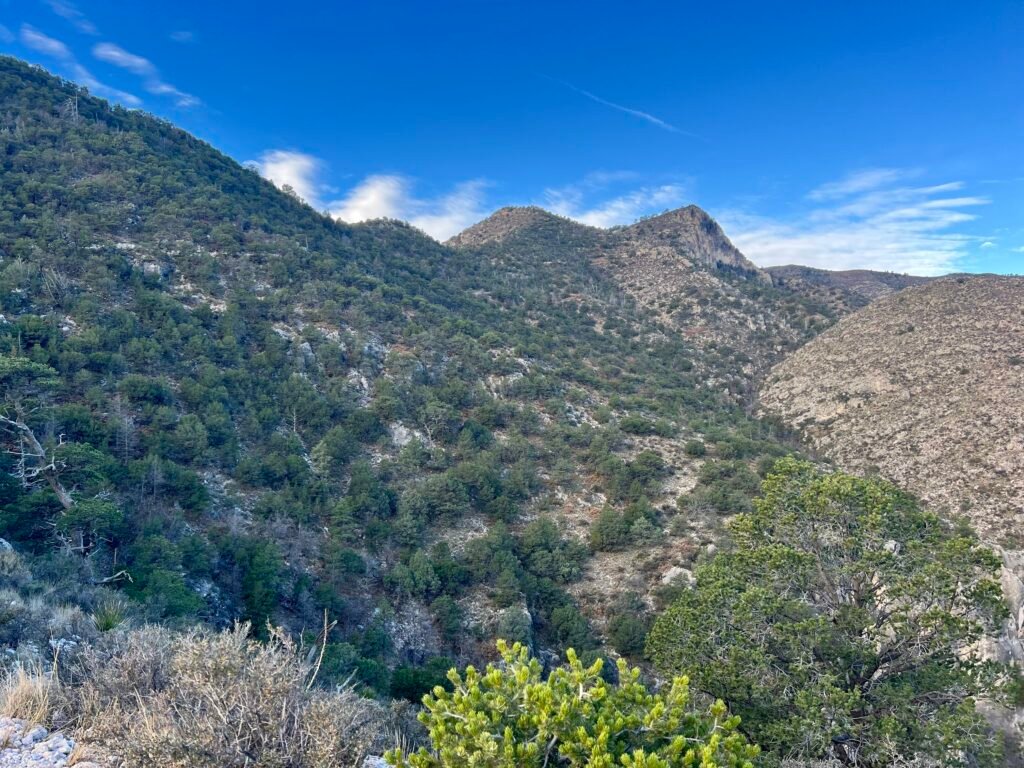 Backside of Guadalupe Peak with pine-covered slopes and rugged canyon views in Guadalupe Mountains National Park