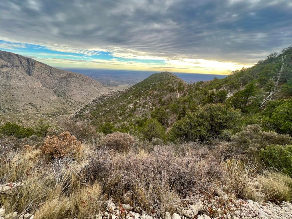Panoramic view from the Guadalupe Peak Trail showing forested ridges and desert valley below at sunrise