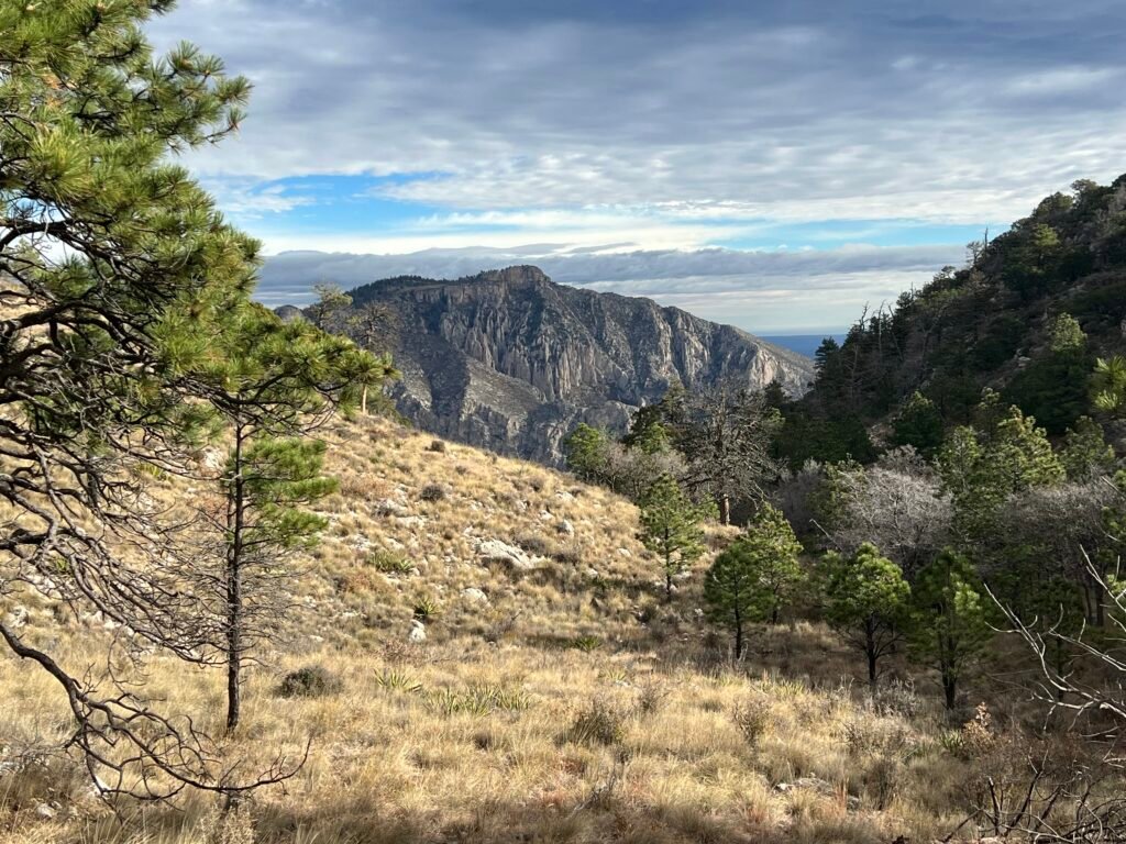 Expansive mountain view in Guadalupe Mountains National Park with pine trees and rugged cliffs under a dramatic sky.