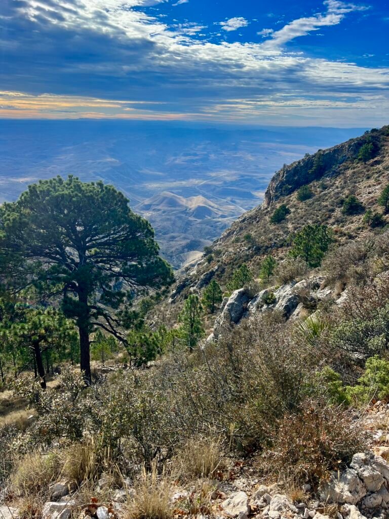 View looking down from Guadalupe Peak Trail over desert valleys and rolling hills below in Guadalupe Mountains National Park.