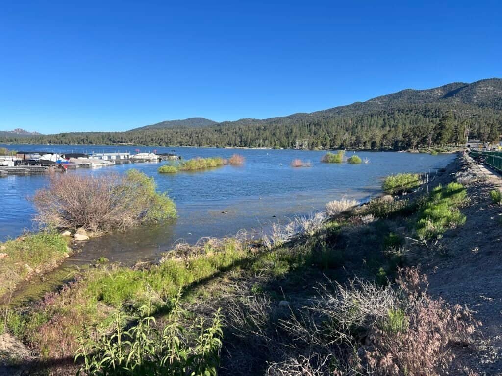 Big Bear Lake shoreline and surrounding mountains from the Stanfield Cutoff