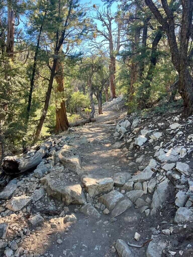 Long, rocky trail climbing gradually through pine forest toward Bertha Peak near Big Bear Lake