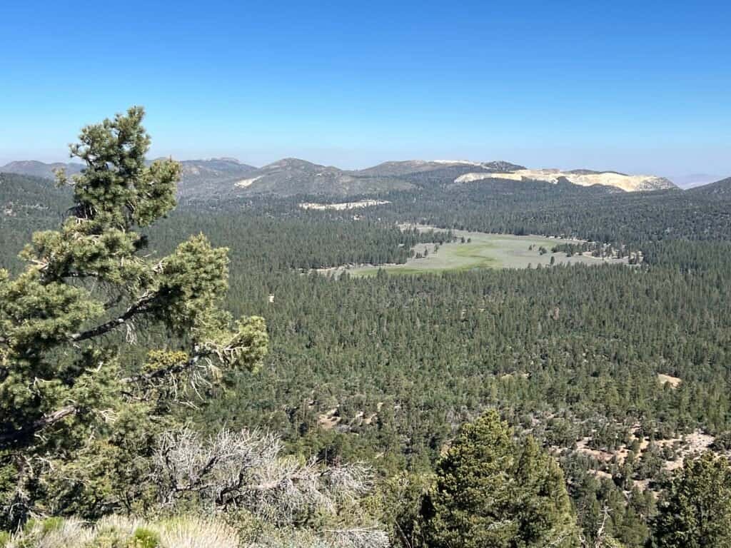 Summit view from Bertha Peak overlooking forested high country in the San Bernardino Mountains