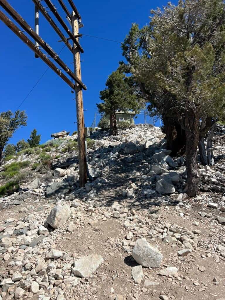 Rocky trail climbing toward Bertha Peak summit with juniper trees and Big Bear Lake below