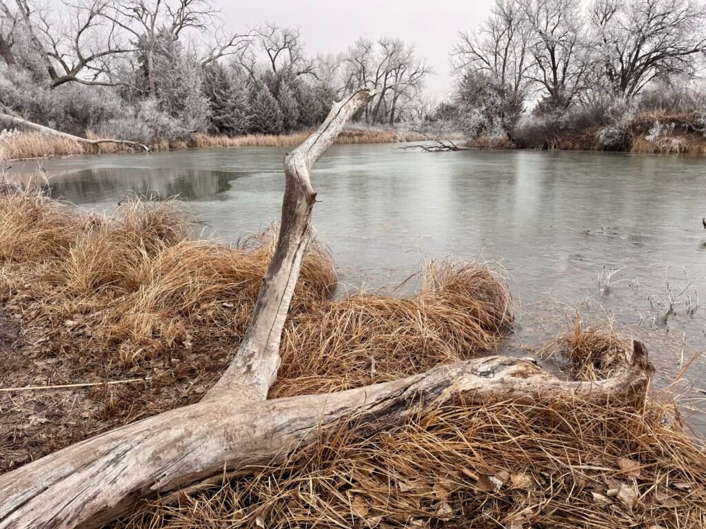 Lake Scott behind the Steele Home Museum at Historic Lake Scott State Park on a calm winter morning.