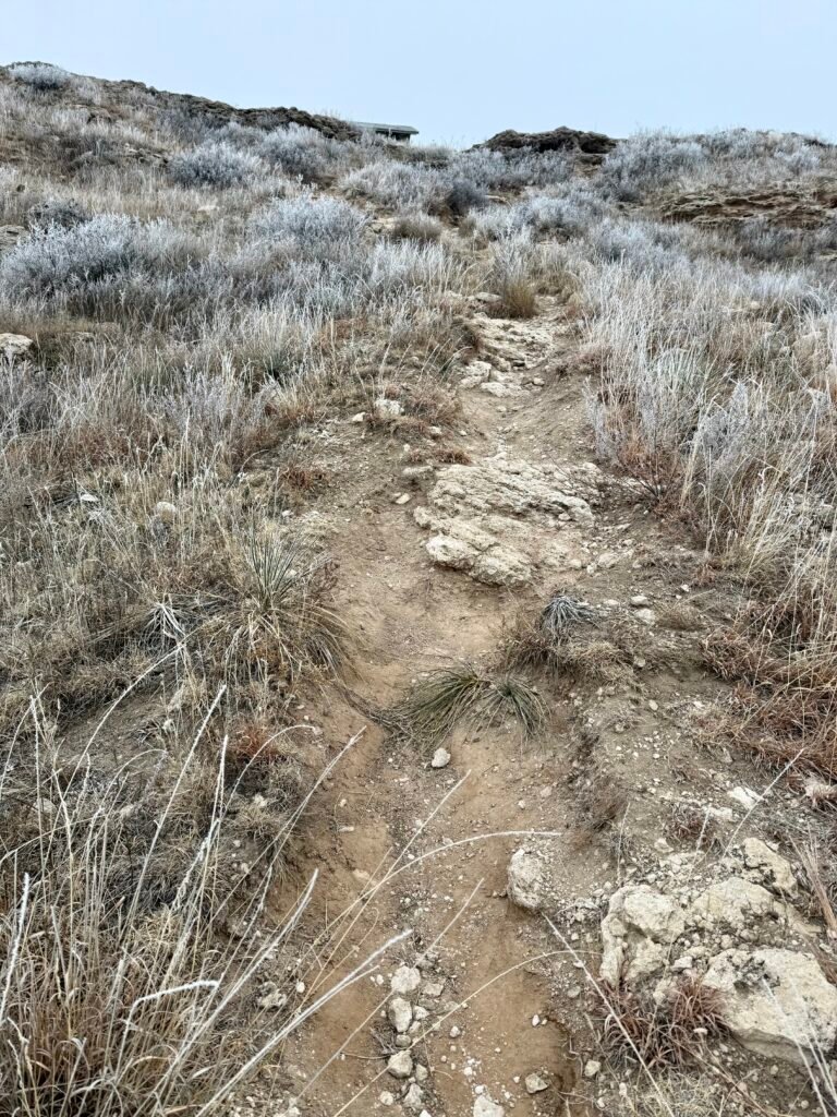 Rocky hiking trail climbing through frosted prairie grass toward the bluff at Historic Lake Scott.