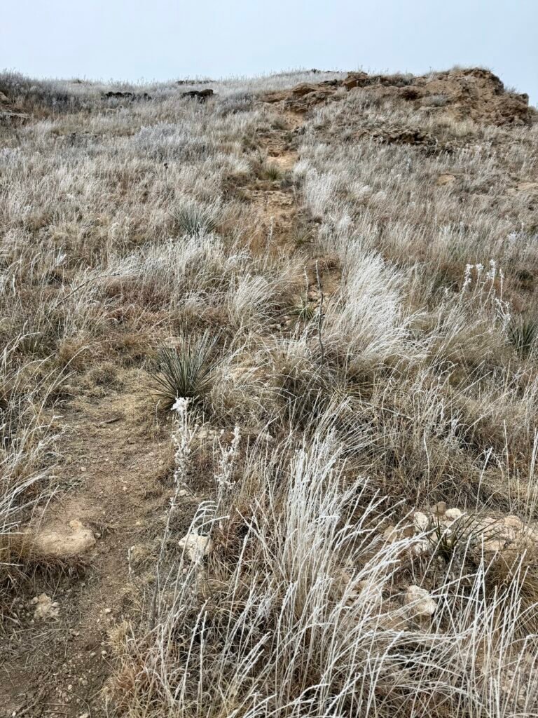 Narrow dirt trail leading up a frost-covered bluff toward an American flag at Historic Lake Scott State Park.