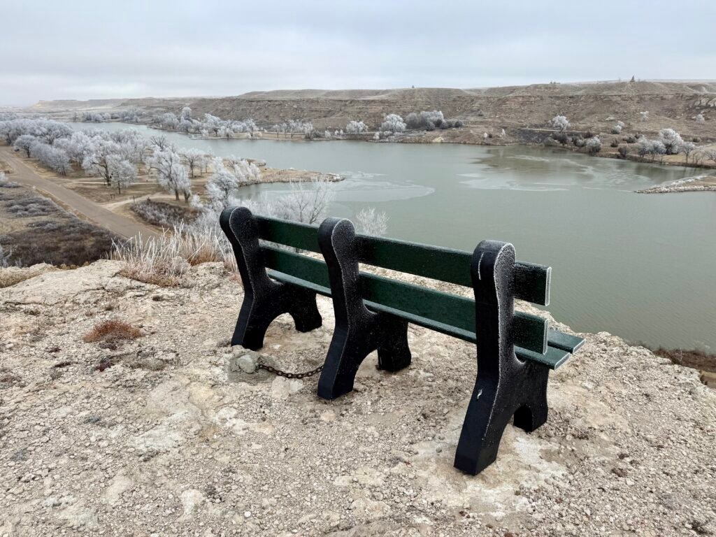 Bench overlooking Lake Scott from Buzzard’s Point with frost-covered trees and calm winter water below.