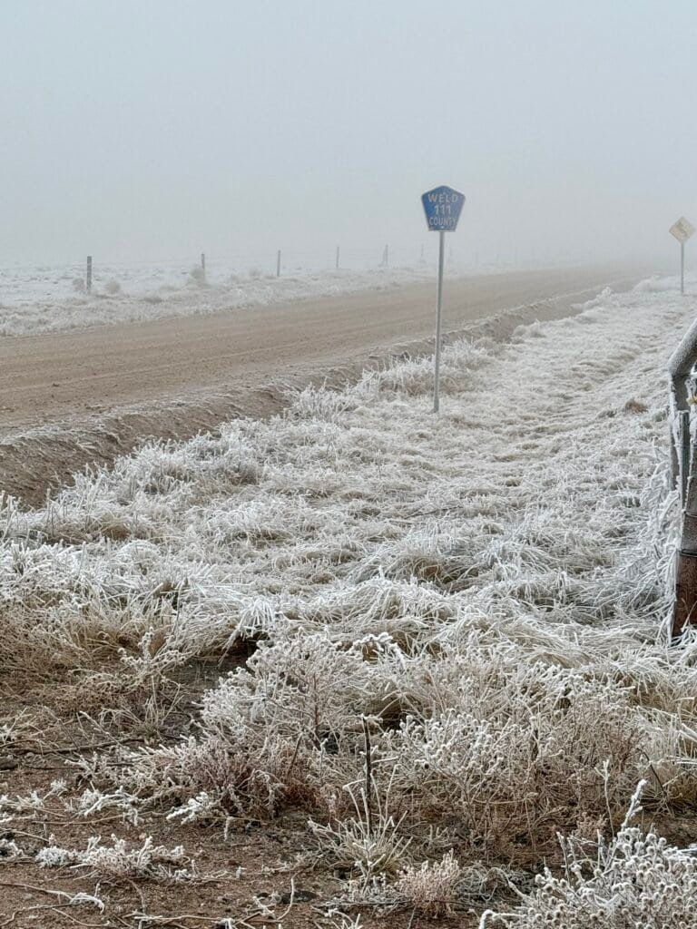 Foggy stretch of County Road 111 leading into Nebraska, with frost-covered grasslands and gravel road fading into low winter fog.