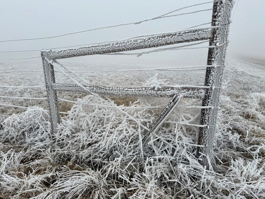 Frost-covered fence and frozen grassland near Panorama Point, Nebraska, disappearing into dense winter fog.