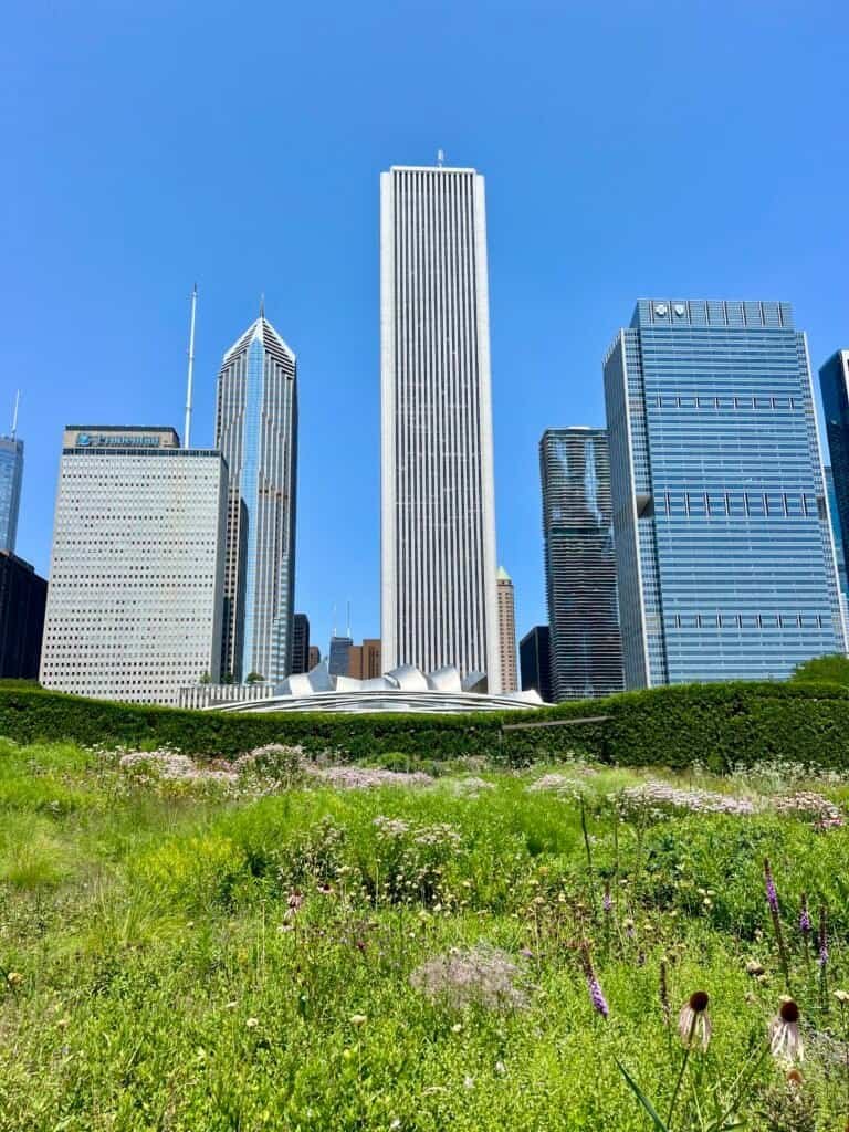 Wildflowers and greenery in Lurie Garden with the Chicago skyline in the background