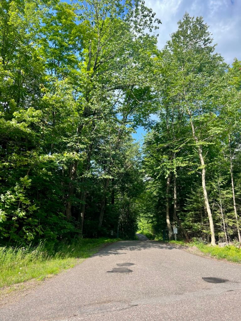 Paved road leading into Timms Hill County Park surrounded by tall green trees in Wisconsin.