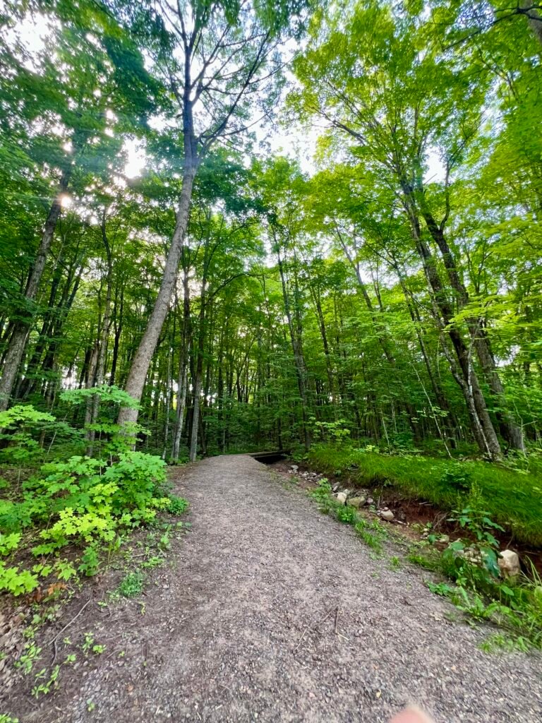 Gravel Tower Trail leading through forest toward the summit of Timms Hill in Wisconsin.