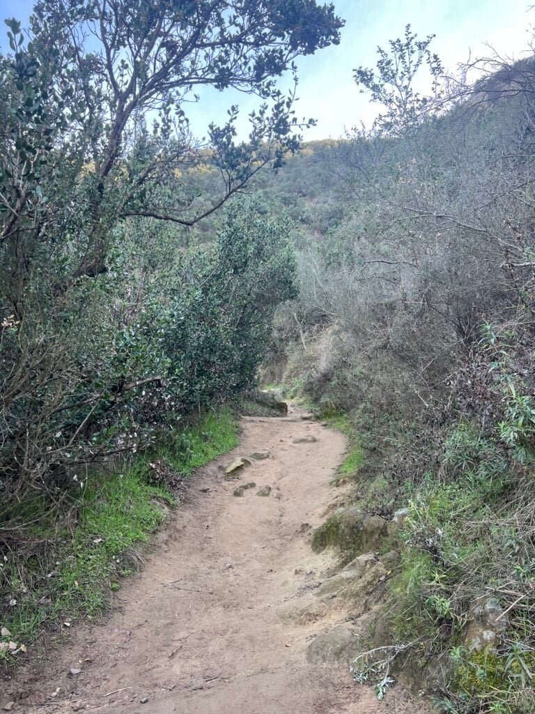 Rocky uphill section of the Way Up Trail at Elfin Forest Recreational Reserve in Escondido, California