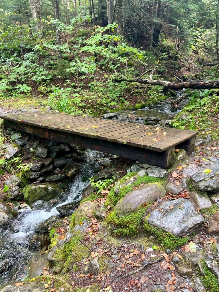 Wooden footbridge crossing a small mountain stream along the Sunset Ridge Trail.