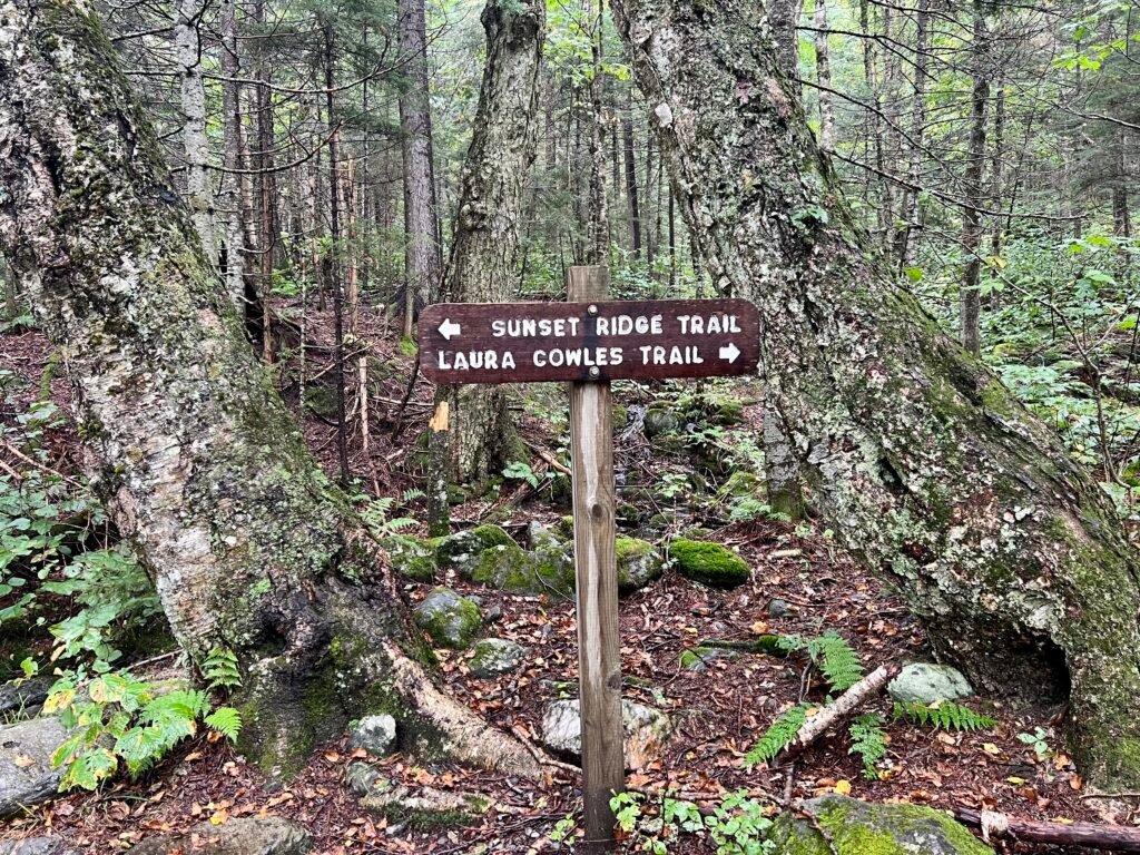 Wooden trail sign marking Sunset Ridge Trail and Laura Cowles Trail junction on Mount Mansfield.