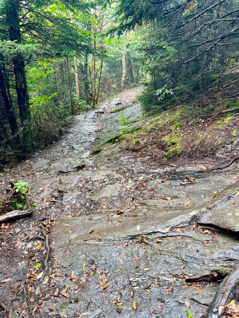 Wet, sloping rock slabs on the Sunset Ridge Trail creating slick hiking conditions.
