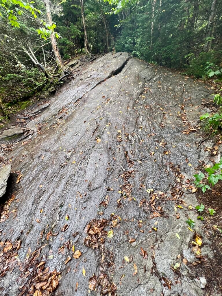 Smooth granite rock face along the Sunset Ridge Trail covered with wet leaves.