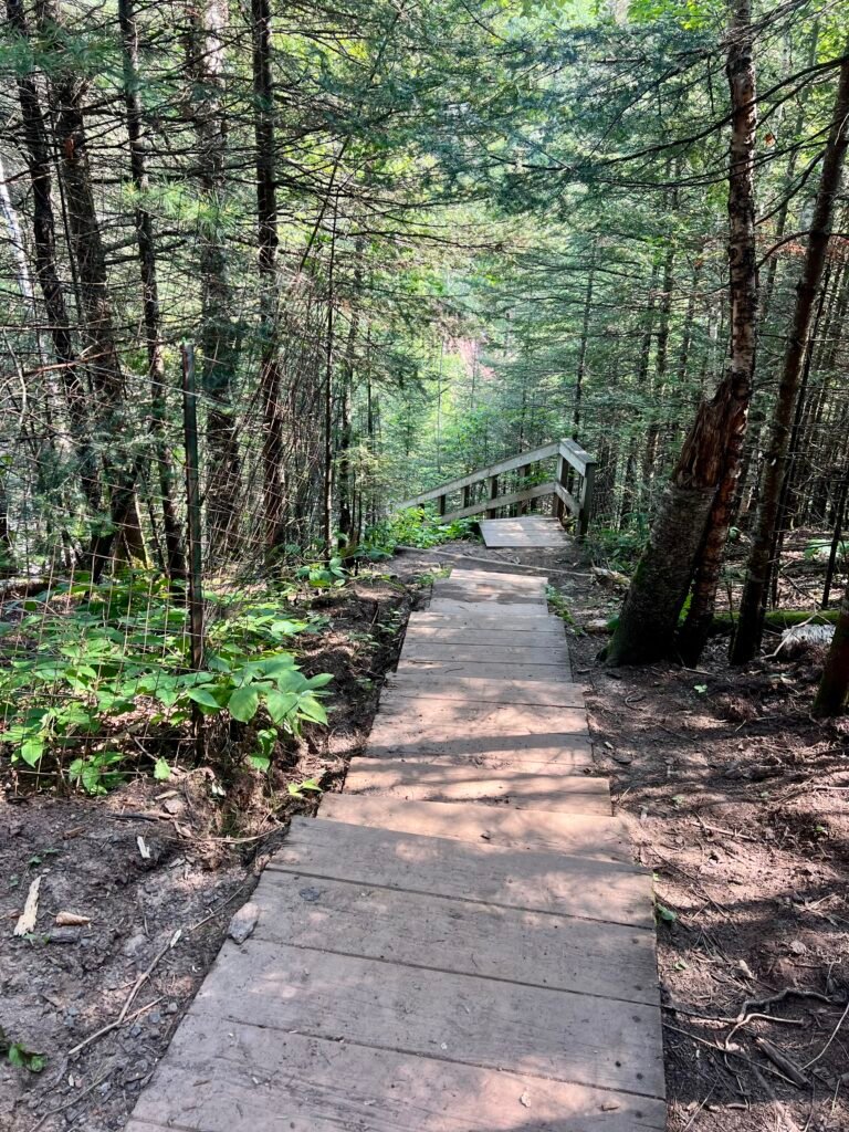 Wooden boardwalk trail descending through forest toward Two Step Falls in Minnesota.