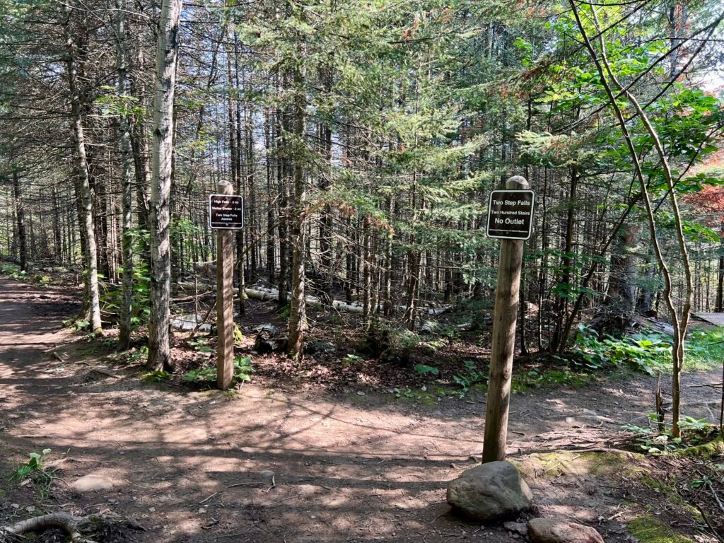 Trail signs for Two Step Falls and High Falls along forest path in Tettegouche State Park.