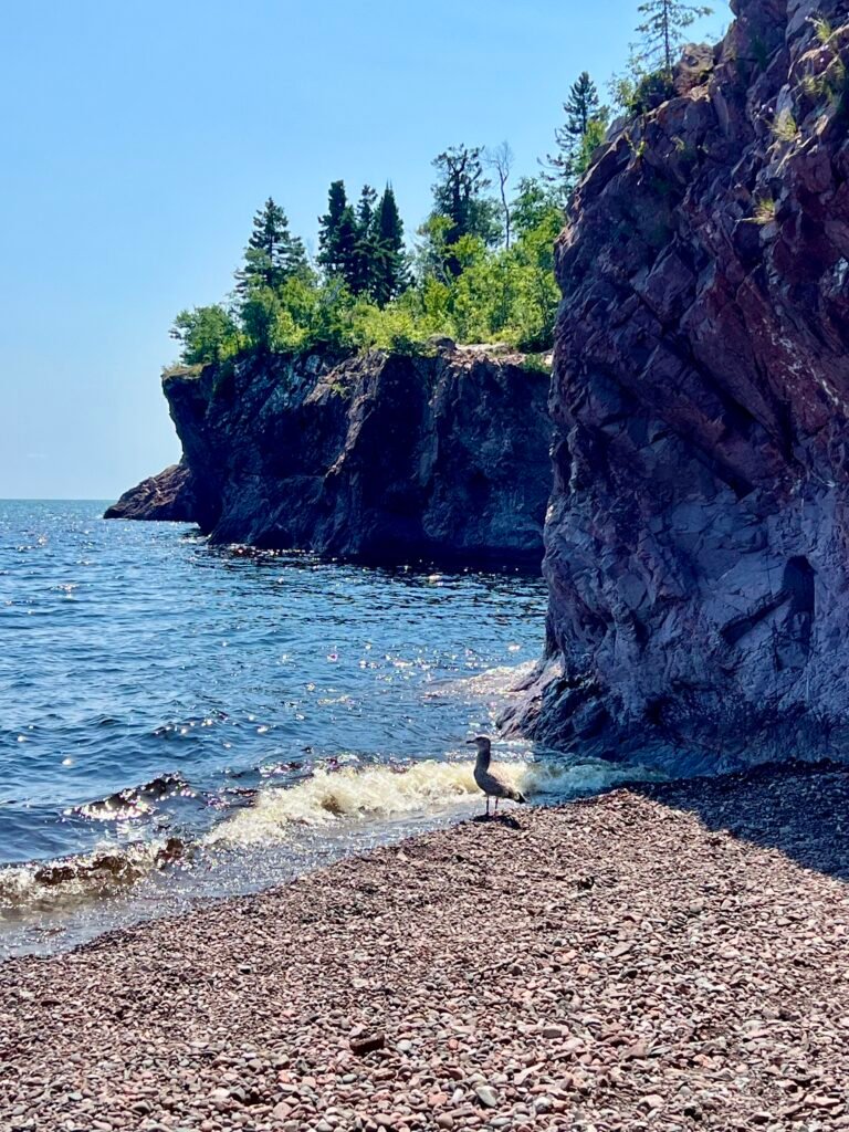 Seagull standing on a rocky Lake Superior beach with cliffs and waves behind it.